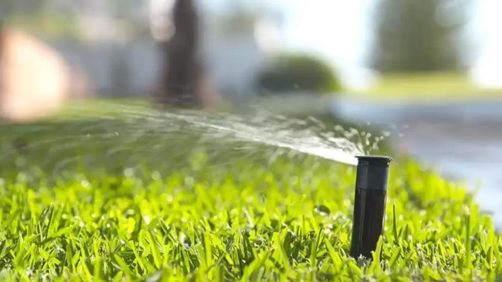Best Small Garden Irrigation System