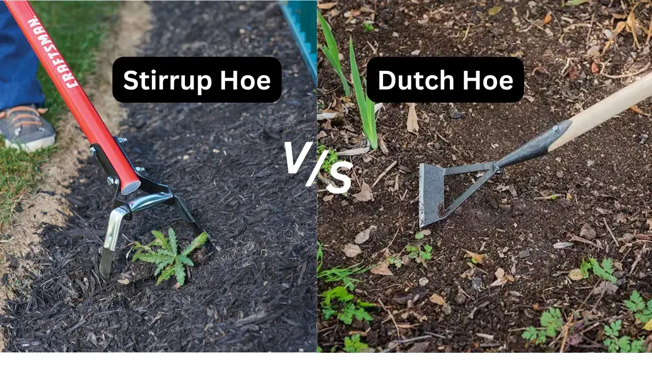 Stirrup Hoe vs Dutch Hoe