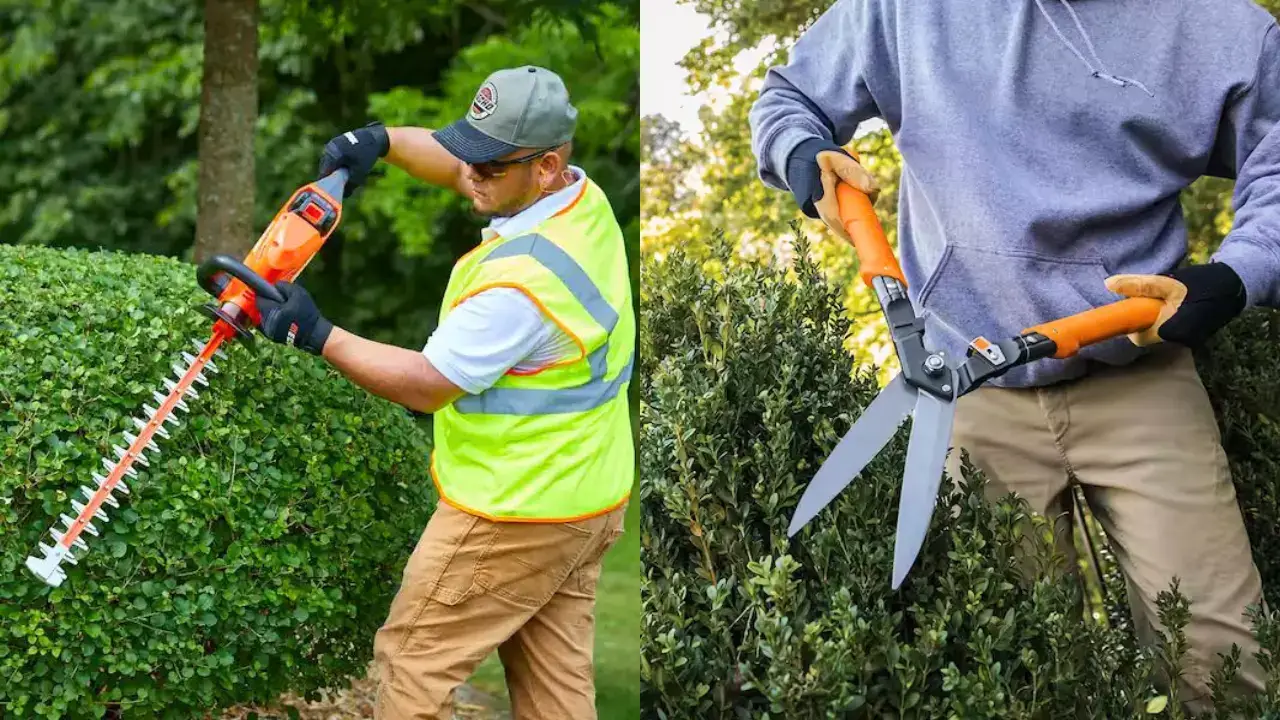 Hedge Clippers